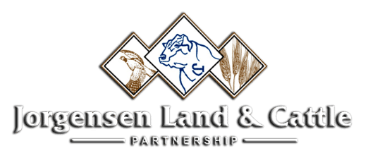 Jorgensen Land & Cattle