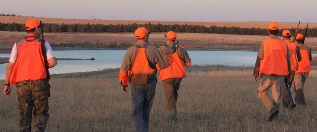 Pheasant hunting land