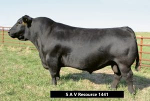 S A V Resource 1441