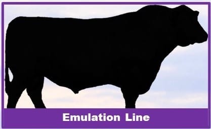 Jorgensen Land & Cattle Emulation Line