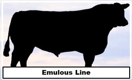 Jorgensen Land & Cattle Emulous Line