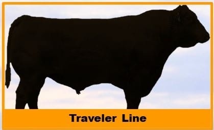 Jorgensen Land & Cattle Traveler Line