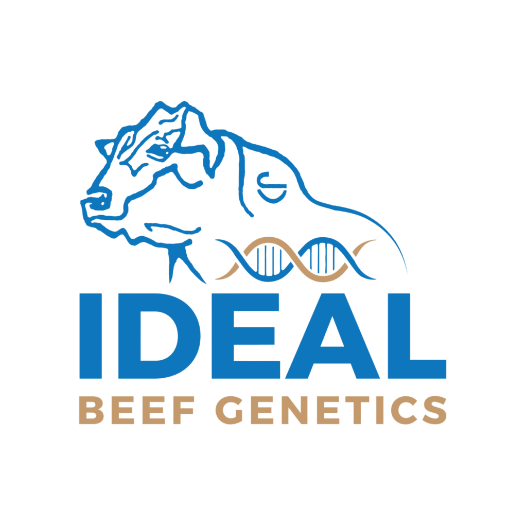 Ideal Beef Genetics