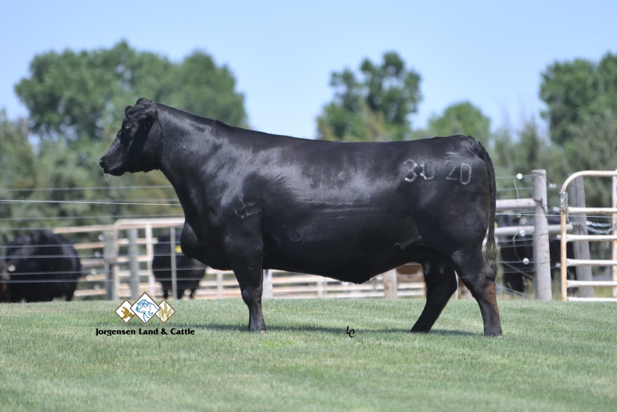 Ideal 3020 of SE 6X7 Lady