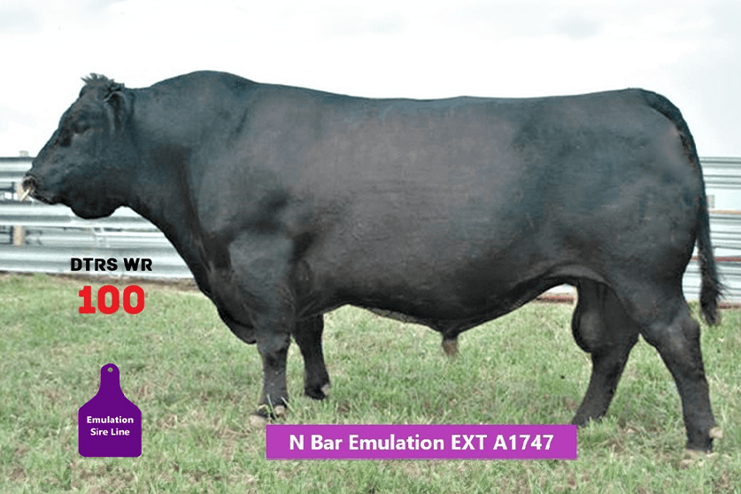 A1747 Emulation Reference Sire