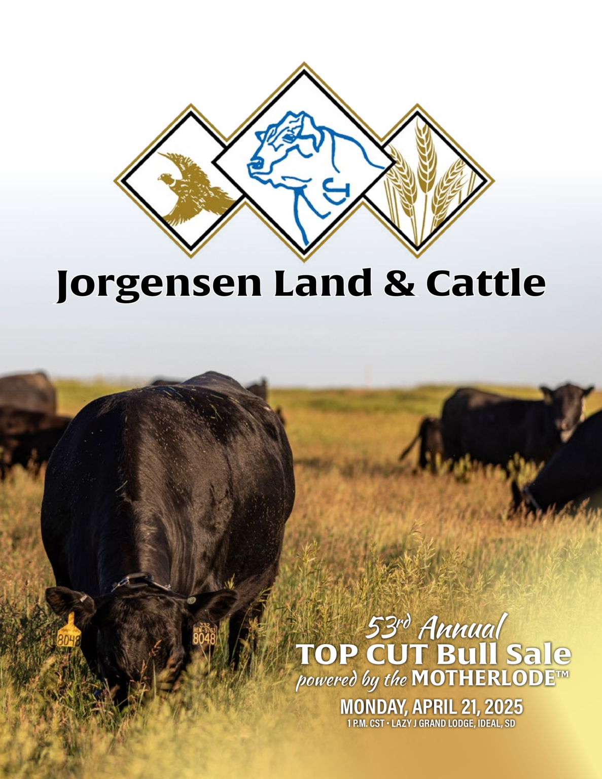 Past Sales Archive Land & Cattle