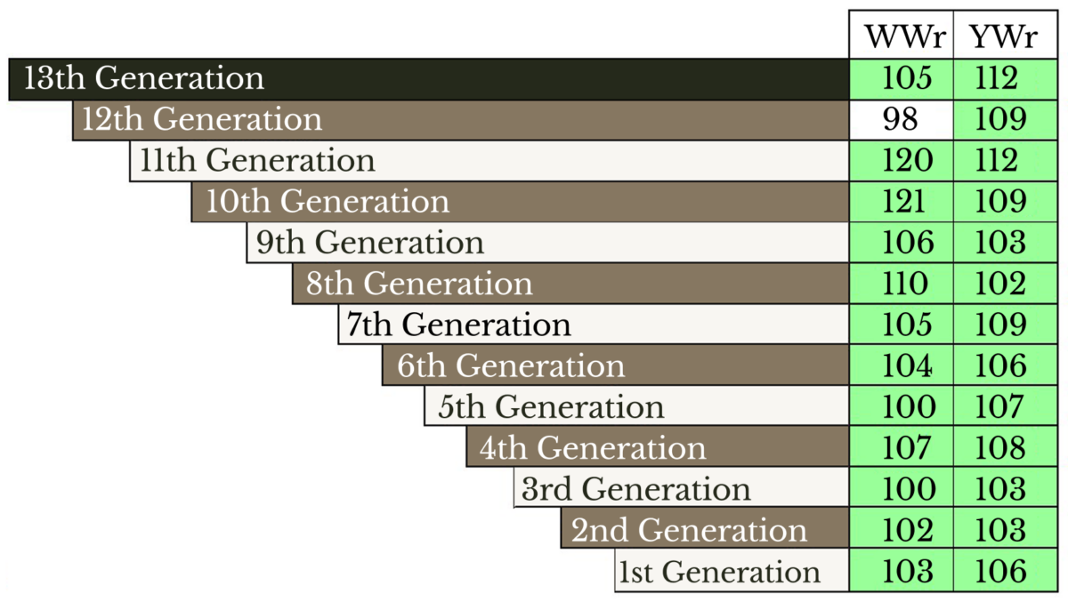Dam of Skymere, Angus cattle with strong topline, prominent crest, and deep hindquarter, showcasing breed character for grass-based herds.