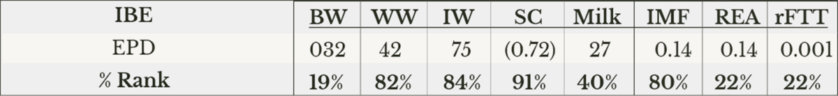 Angus bull with strong topline, prominent crest, and deep hindquarter, representing Skymere sire line at Jorgensen Farms.