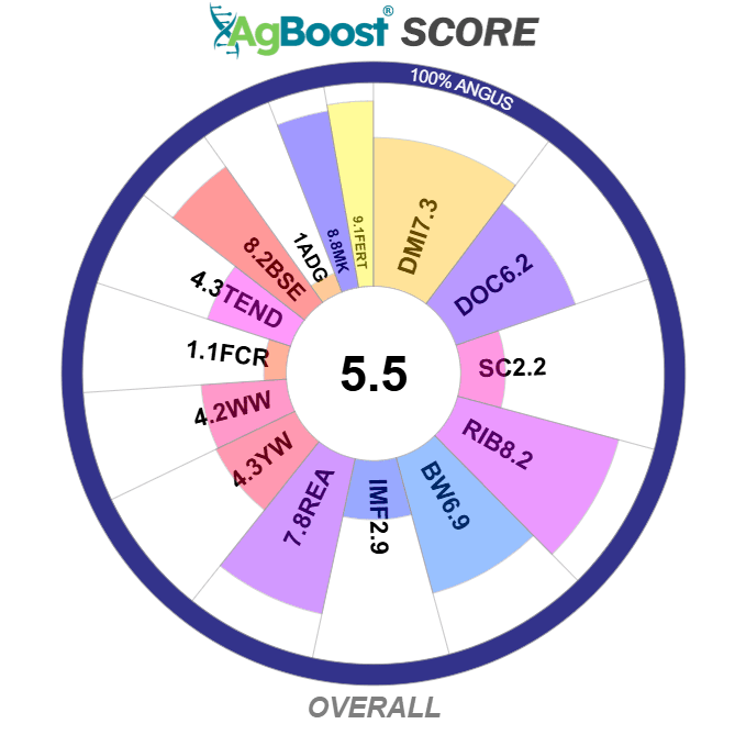 Skymere sire line pedigree chart highlighting Angus breed traits, including performance and genetic scores for breeding suitability.