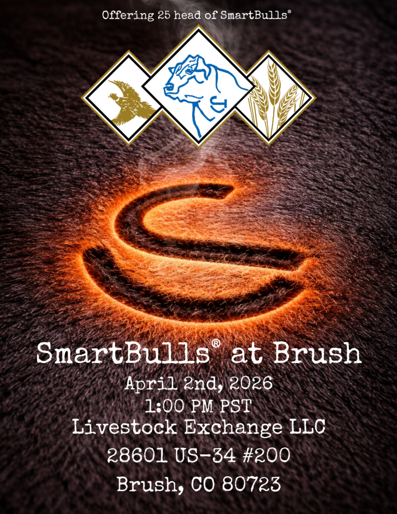 SmartBulls® at Brush sale catalog cover featuring promotional details for April 2, 2026 event, showcasing 25 head of SmartBulls® with emphasis on data-driven genetics for cattlemen.
